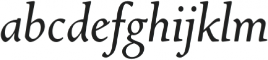 Newstyle Italic otf (400) Font LOWERCASE