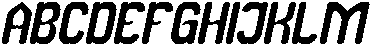 Newton apple Italic otf (400) Font UPPERCASE