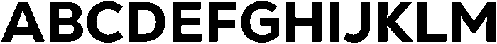 Nexa Text Heavy otf (800) Font UPPERCASE