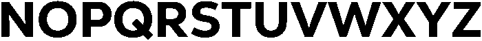 Nexa Text Heavy otf (800) Font UPPERCASE