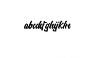 Nelda Typeface - Logo Type Font LOWERCASE
