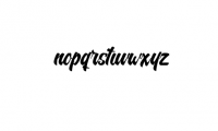 Nelda Typeface - Logo Type Font LOWERCASE
