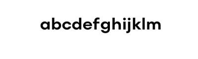 Neue Fofi-Bold.ttf Font LOWERCASE