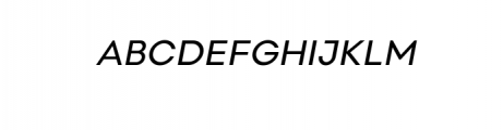 Neue Fofi-Italic.ttf Font UPPERCASE