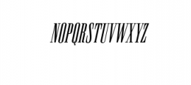 Newston Italic.otf Font UPPERCASE