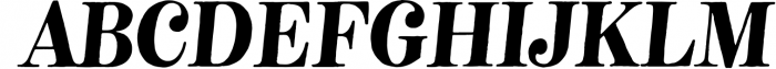 Neato Serif Font Family 1 Font UPPERCASE