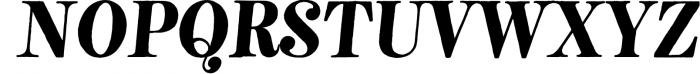 Neato Serif Font Family 1 Font UPPERCASE