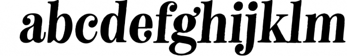 Neato Serif Font Family 1 Font LOWERCASE