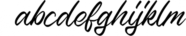 Nerfia - Script Font Font LOWERCASE