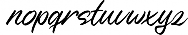 Nerfia - Script Font Font LOWERCASE