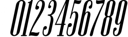 Newston - Stylish Serif Font 1 Font OTHER CHARS
