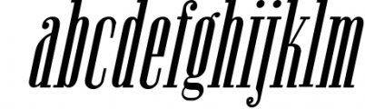 Newston - Stylish Serif Font 1 Font LOWERCASE