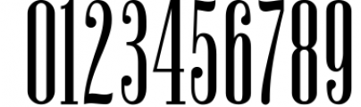 Newston - Stylish Serif Font 2 Font OTHER CHARS