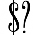 Newston - Stylish Serif Font 2 Font OTHER CHARS