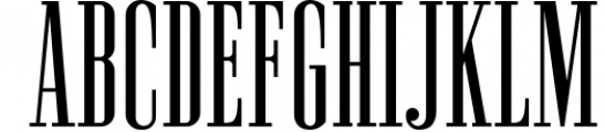 Newston - Stylish Serif Font 2 Font UPPERCASE