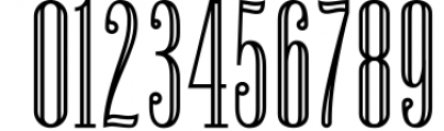 Newston - Stylish Serif Font 3 Font OTHER CHARS