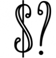 Newston - Stylish Serif Font 3 Font OTHER CHARS