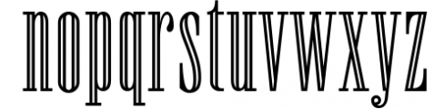 Newston - Stylish Serif Font 3 Font LOWERCASE