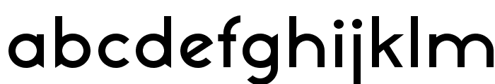 NeoGothisADFStd-DemiBold Font LOWERCASE