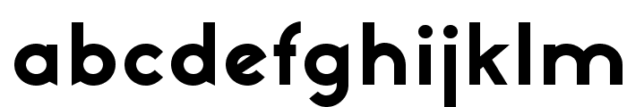 NeoGothisADFStd-ExtraBold Font LOWERCASE