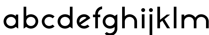 NeoGothisADFStd-Medium Font LOWERCASE