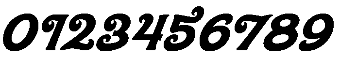 NeolandScript-Demo Font OTHER CHARS