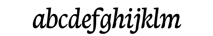 Neuton Cursive Font LOWERCASE