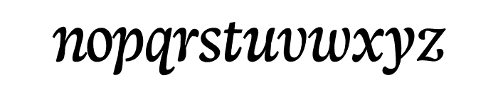 Neuton Cursive Font LOWERCASE