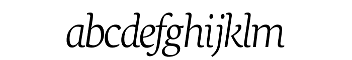 Neuton Extralight Italic Font LOWERCASE