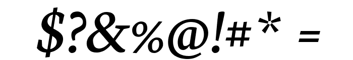 Neuton Italic Font OTHER CHARS