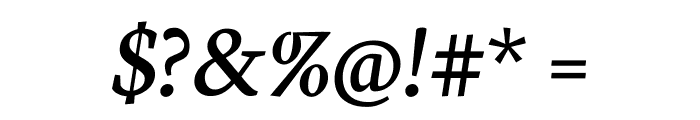 Neuton Italic Font OTHER CHARS