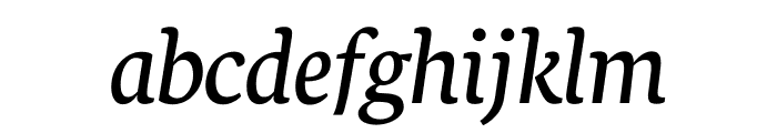 Neuton Italic Font LOWERCASE