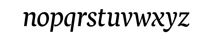 Neuton Italic Font LOWERCASE