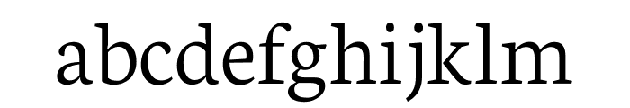 Neuton Light Font LOWERCASE