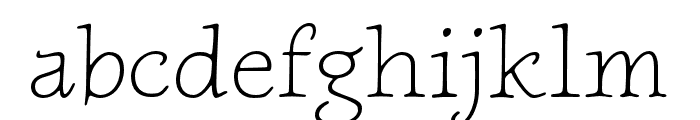 NewtSerifLight Font LOWERCASE