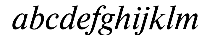 NewtonCTT Italic Font LOWERCASE