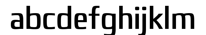 nethsans-Regular Font LOWERCASE