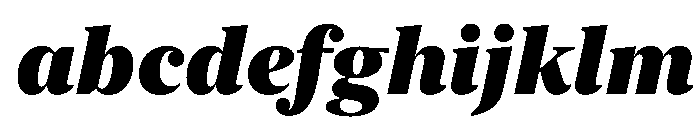 New York Extra Large Black Italic FONT