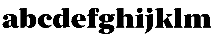 New York Extra Large Black FONT