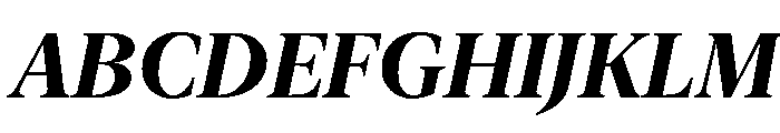 New York Extra Large Bold Italic Font UPPERCASE
