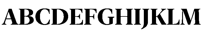 New York Extra Large Bold Font UPPERCASE