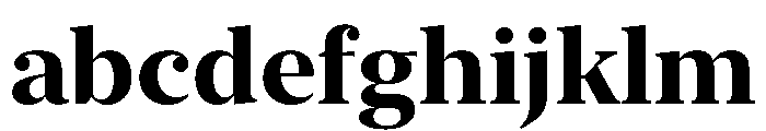 New York Extra Large Bold FONT