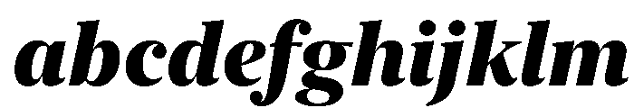 New York Extra Large Heavy Italic FONT