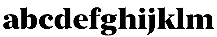 New York Extra Large Heavy FONT