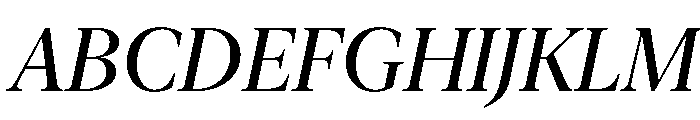 New York Extra Large Regular Italic Font UPPERCASE