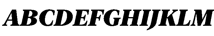 New York Large Black Italic Font UPPERCASE