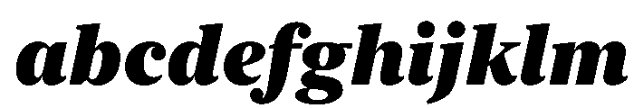 New York Large Black Italic FONT