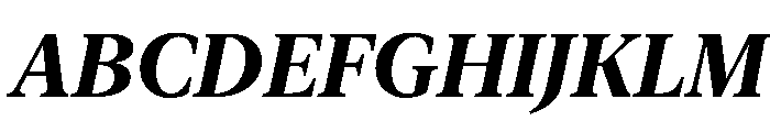 New York Large Bold Italic Font UPPERCASE