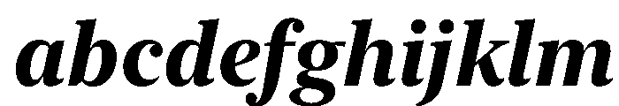New York Large Bold Italic FONT