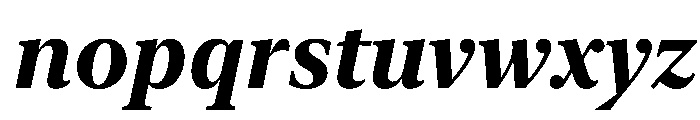 New York Large Bold Italic Font LOWERCASE